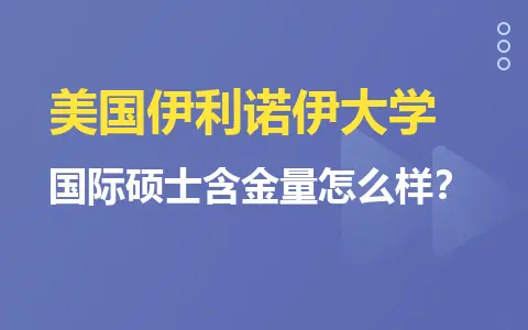 美国伊利诺伊大学国际硕士含金量怎么样？