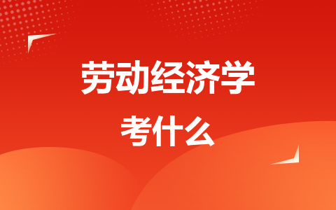 劳动经济学同等学力在职研究生考什么？