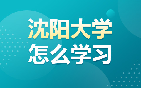 沈陽大學非全日制研究生是怎么學習的？