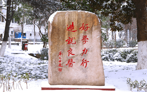 安徽醫(yī)科大學(xué)石碑