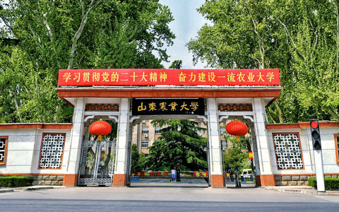 山东农业大学校门