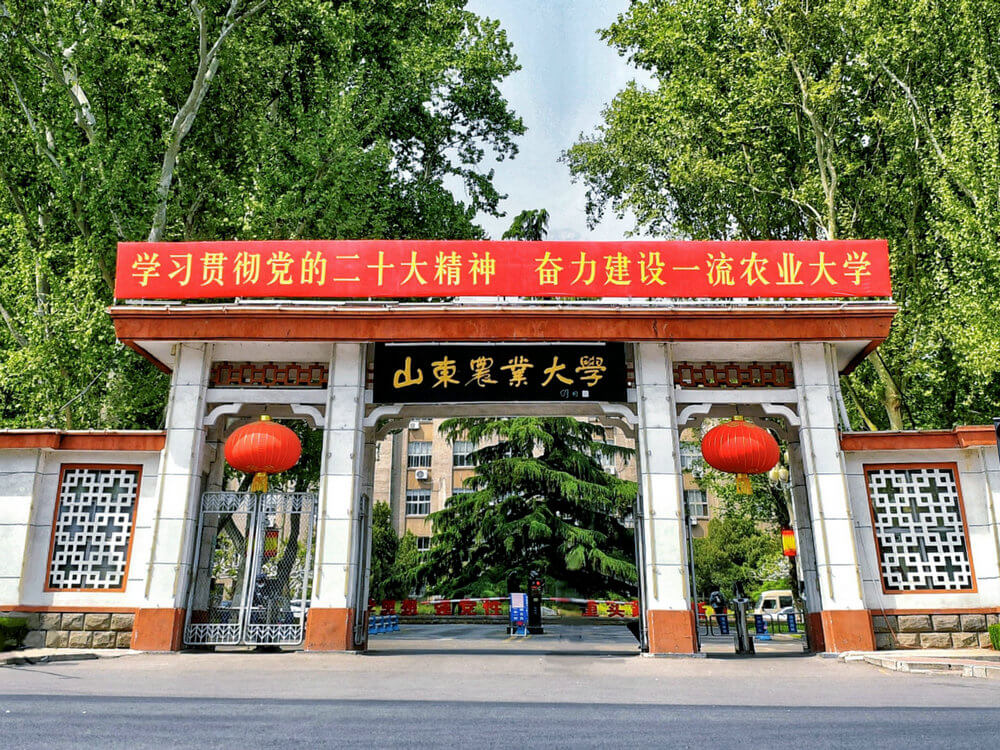 山东农业大学校门