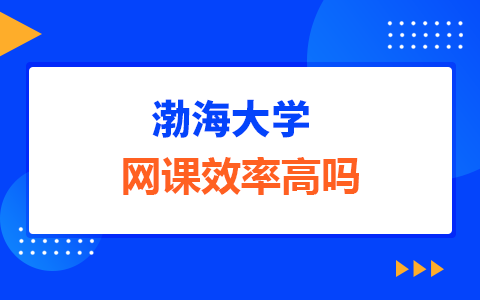 渤海大學(xué)在職研究生網(wǎng)課效率