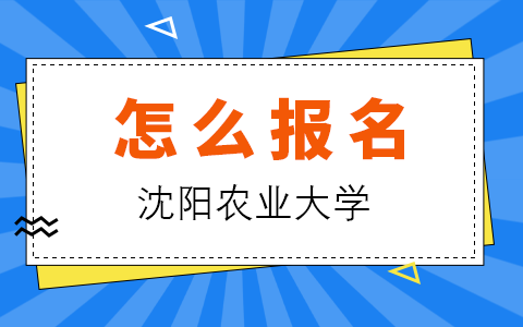 沈阳农业大学在职研究生怎么报名？