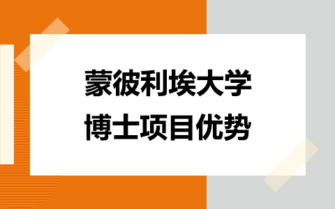 法国蒙彼利埃大学医疗健康管理博士项目优势