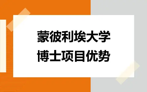 法国蒙彼利埃大学医疗健康管理博士有什么项目优势？