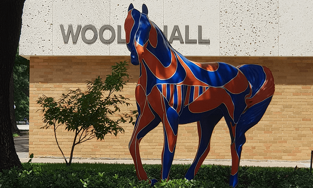 美國德克薩斯大學(xué)阿靈頓分校校園風(fēng)光