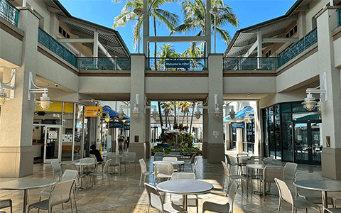 美国夏威夷太平洋大学校园风光