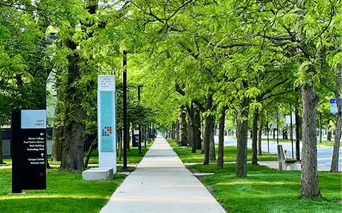 美国伊利诺伊理工大学学校环境