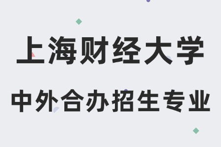 上海财经大学与美国韦伯斯特大学合作办学硕士招生专业目录