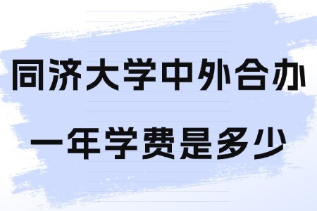 同济大学与美国德克萨斯大学阿灵顿分校合作办学硕士学费多少钱一年？
