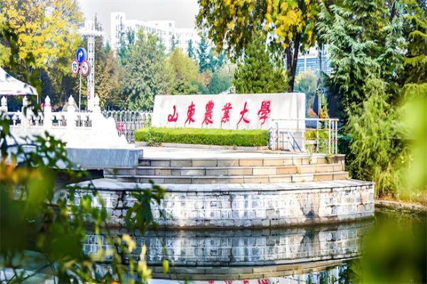 2026年山东农业大学非全日制研究生招生简章