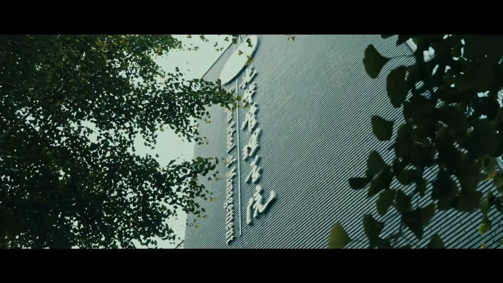 北京大学光华管理学院MBA宣传片《追光》