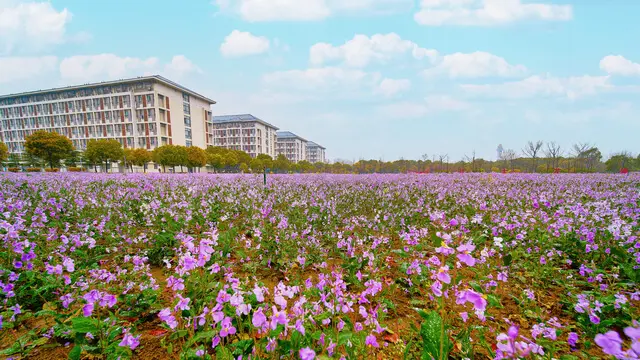 扬州大学扬子津校区