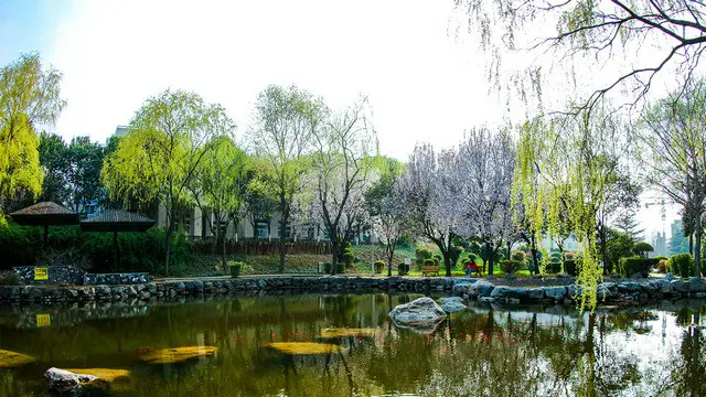 西安科技大学