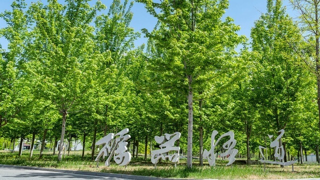 辽宁工业大学风景
