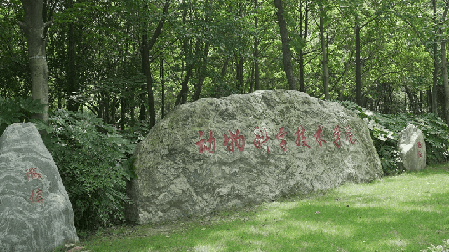 江西农业大学风景