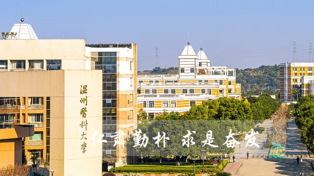 温州医科大学关于同等学力申请硕士学位进入学位论文阶段相关问答