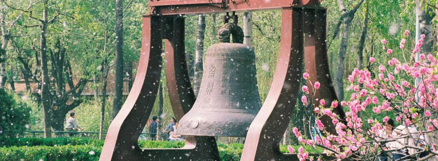 南开大学中外合作办学