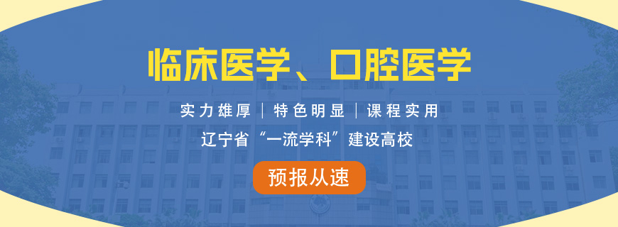 大连大学同等学力申硕招生简章