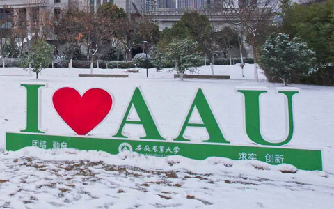 安徽农业大学在职研究生