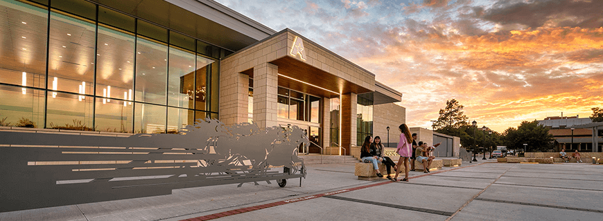 美国德克萨斯大学阿灵顿分校中外合办