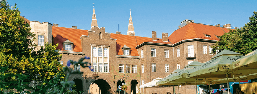 匈牙利塞格德大學(xué)中外合辦